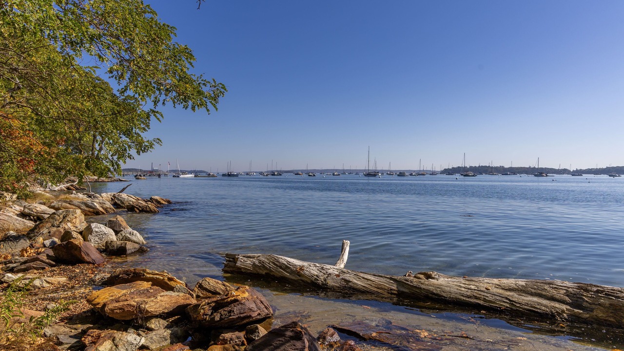 Photo of Others in Falmouth Foreside