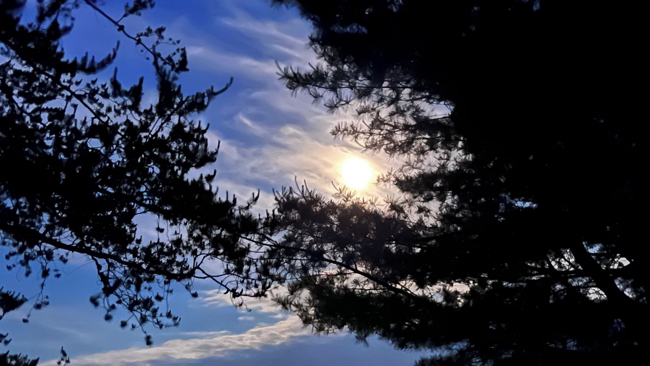 Photo of Others in Palermo