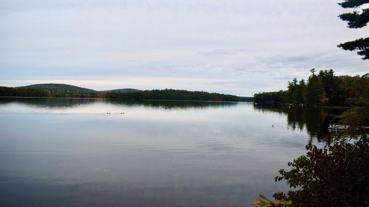 Photo of Others in Palermo