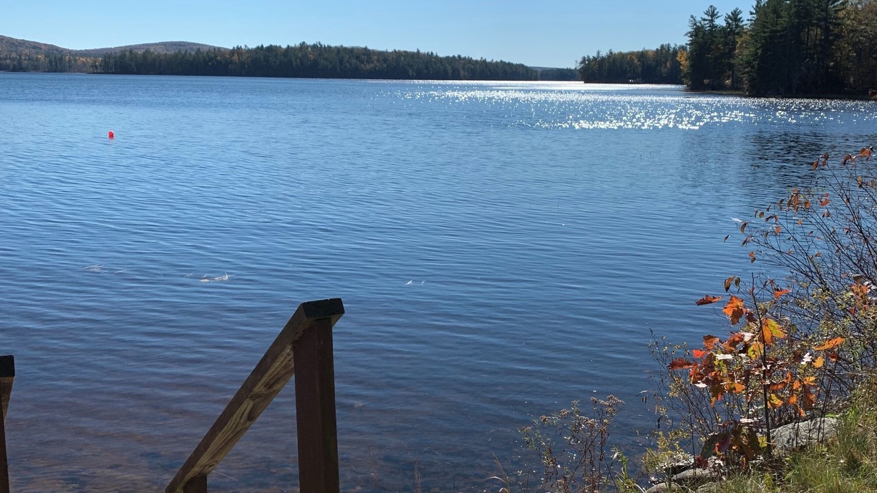 Photo of Others in Palermo