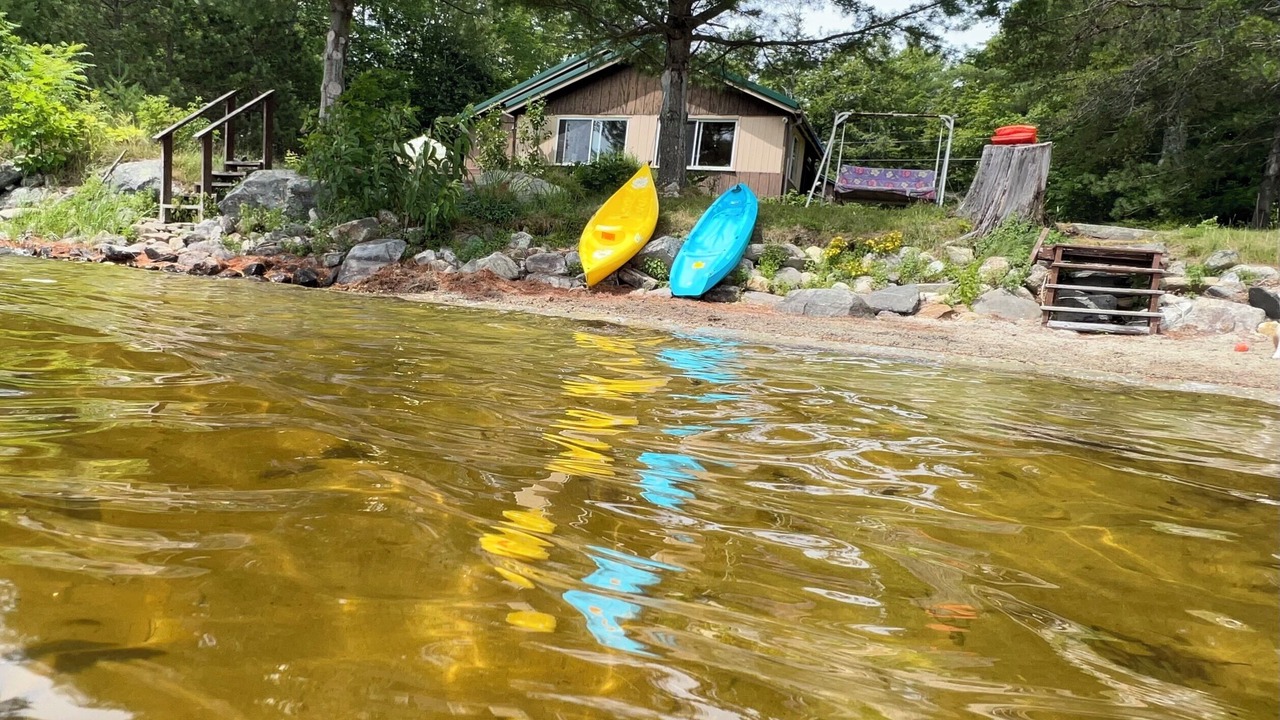 Photo of Others in Palermo
