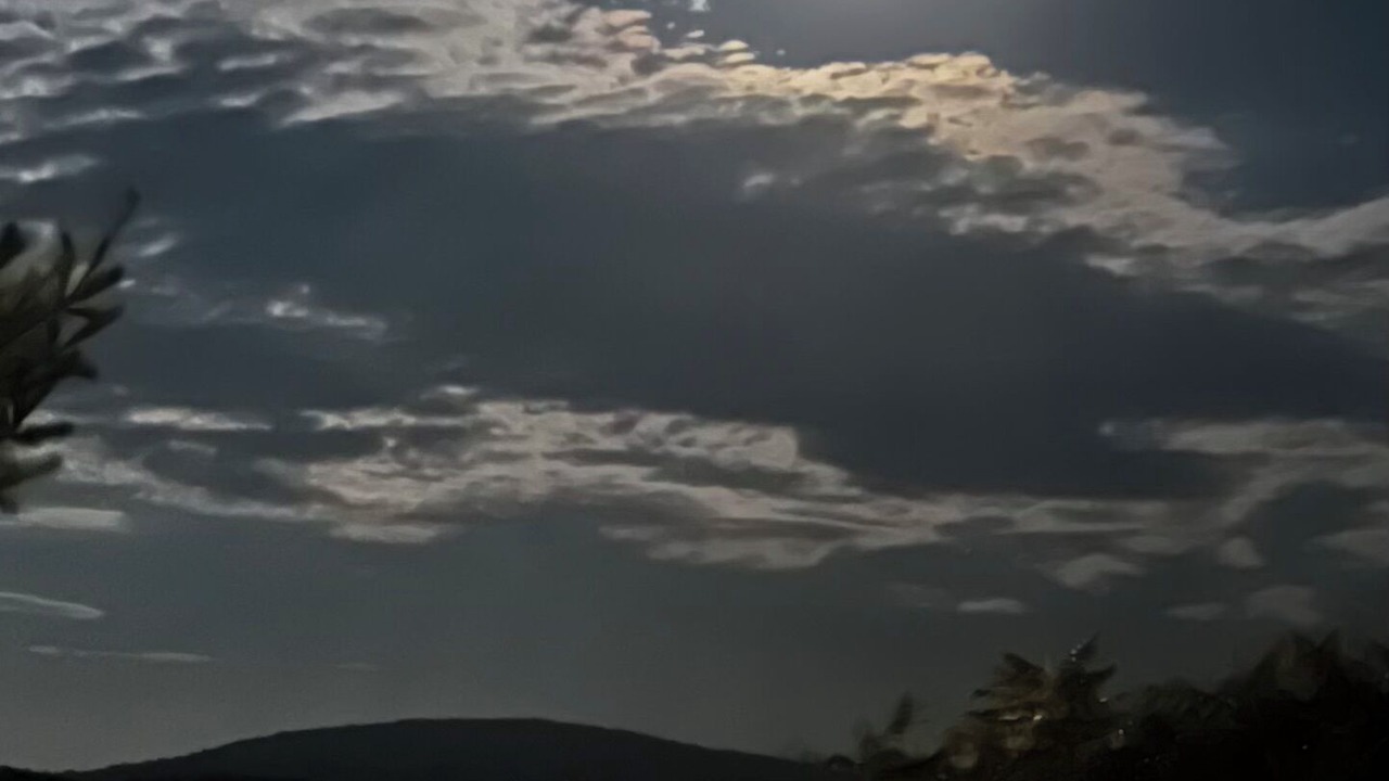 Photo of Others in Palermo