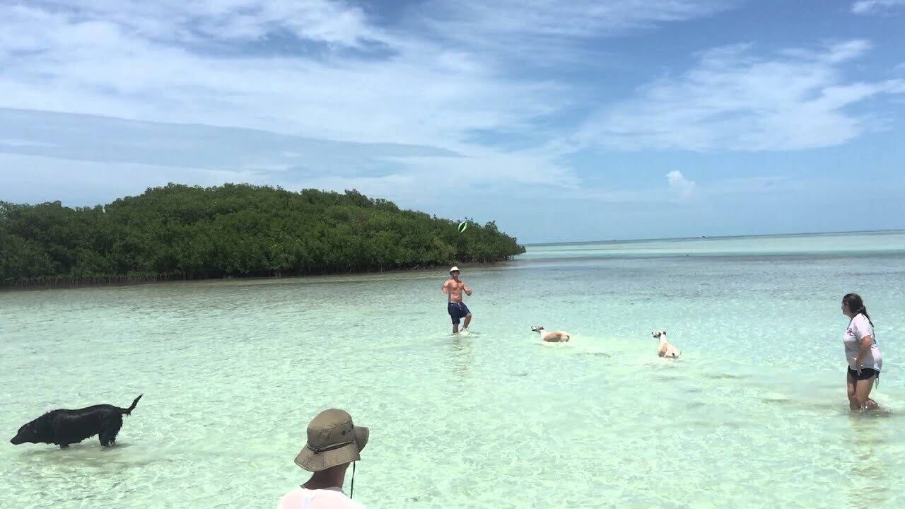 Photo of Others in Summerland Key
