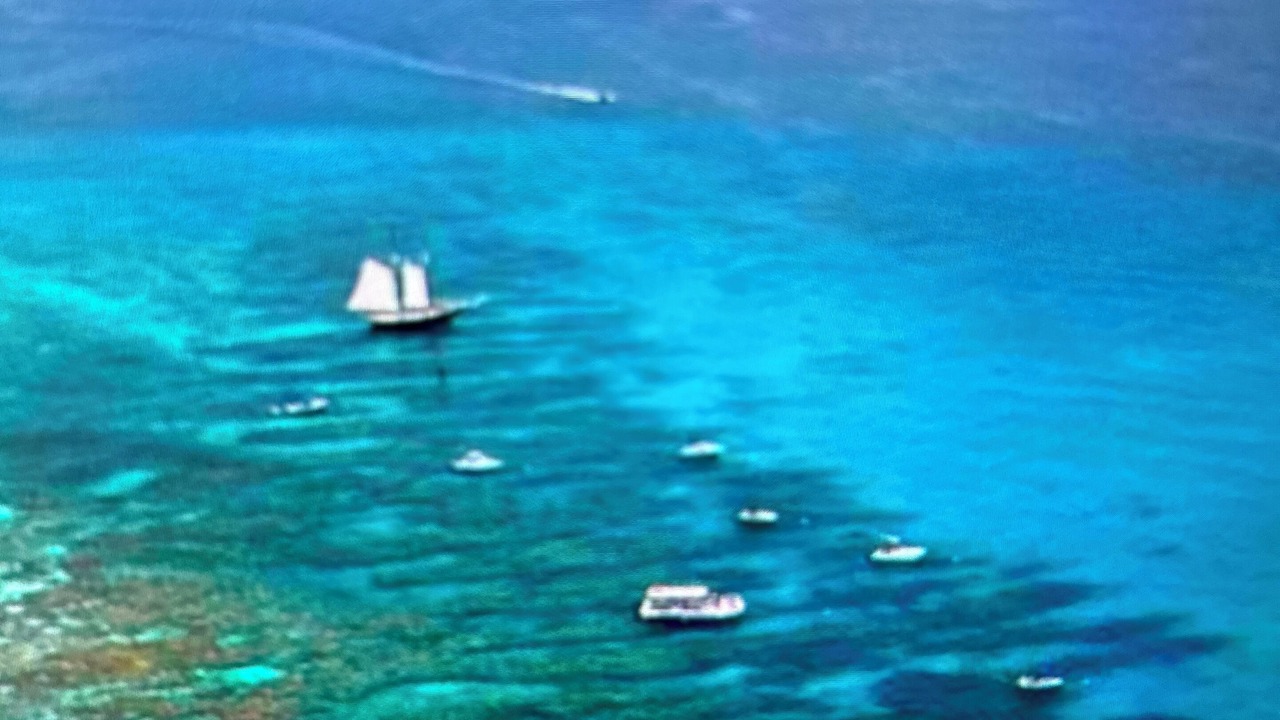 Photo of Outdoor in Summerland Key
