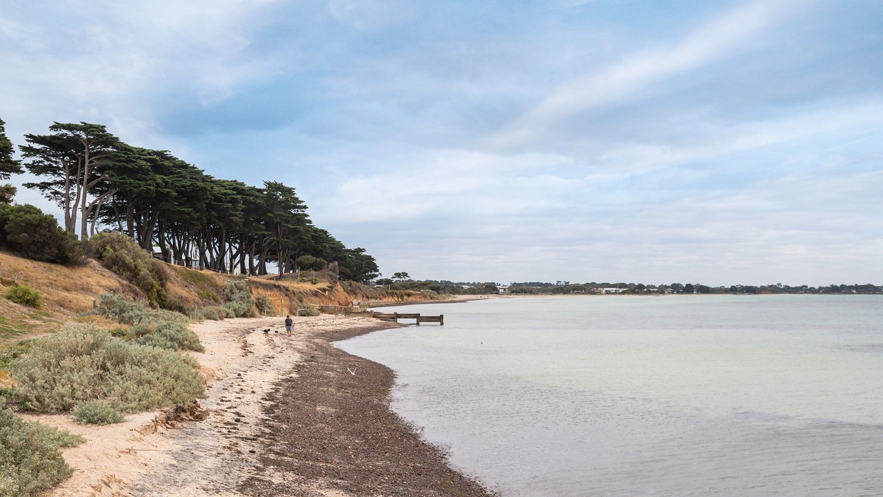 Photo of Others in St Leonards