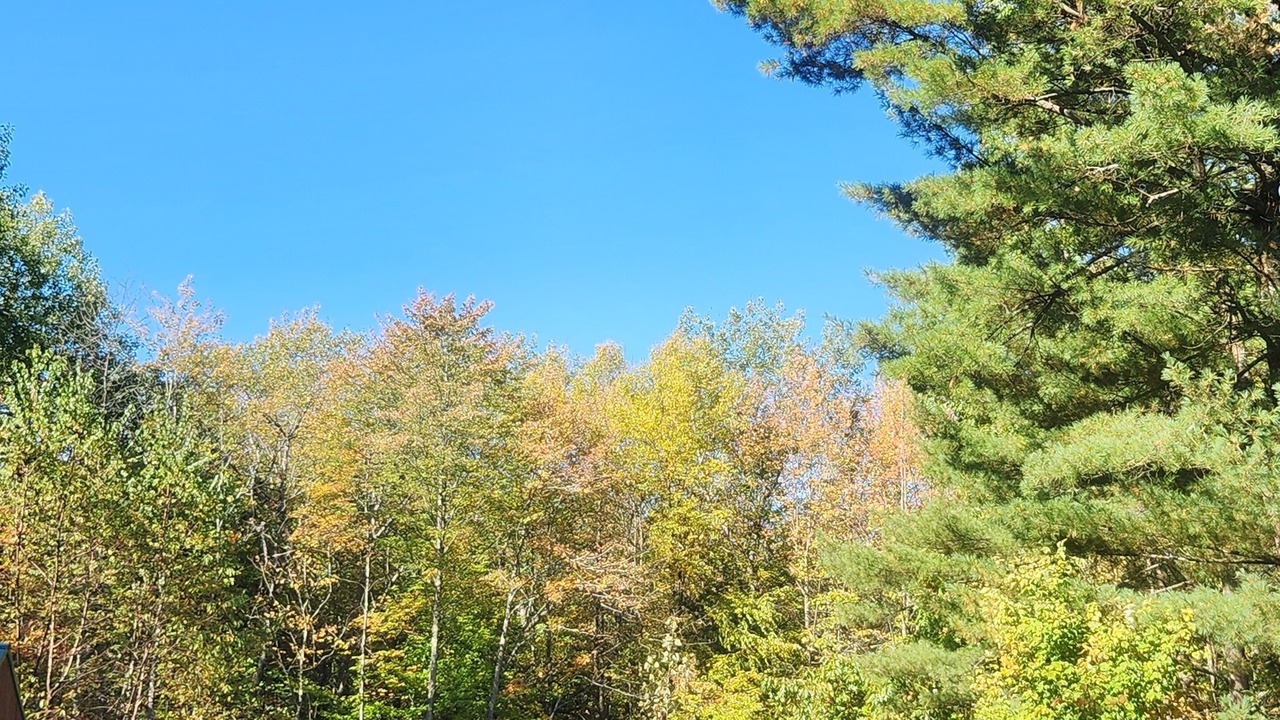 Photo of Others in Etna