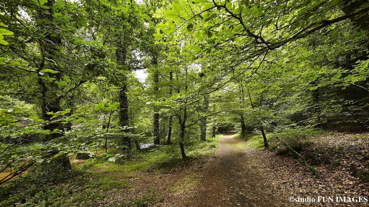 Photo of Others in Plouay