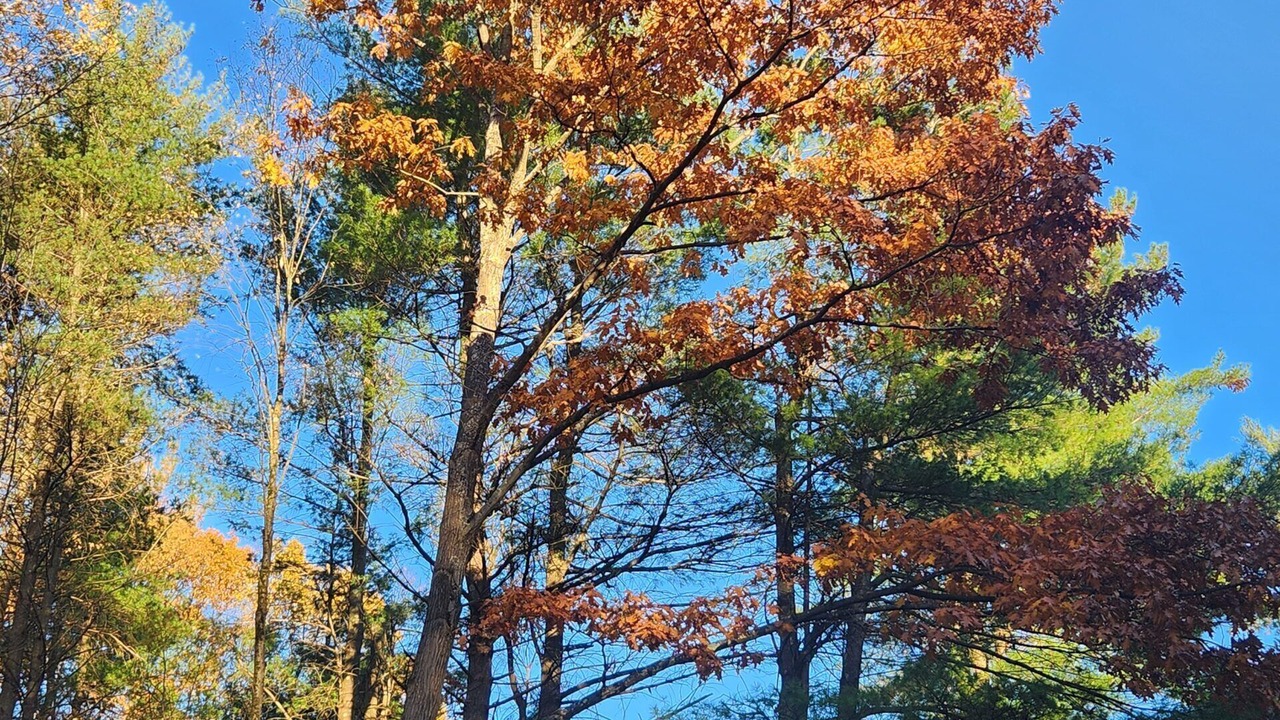 Photo of Outdoor in Etna