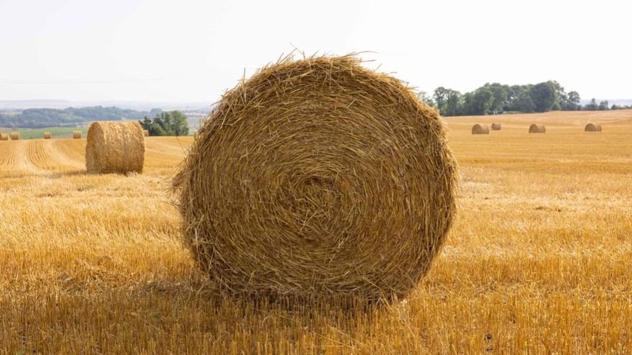 Photo of Others in Sexey-les-Bois