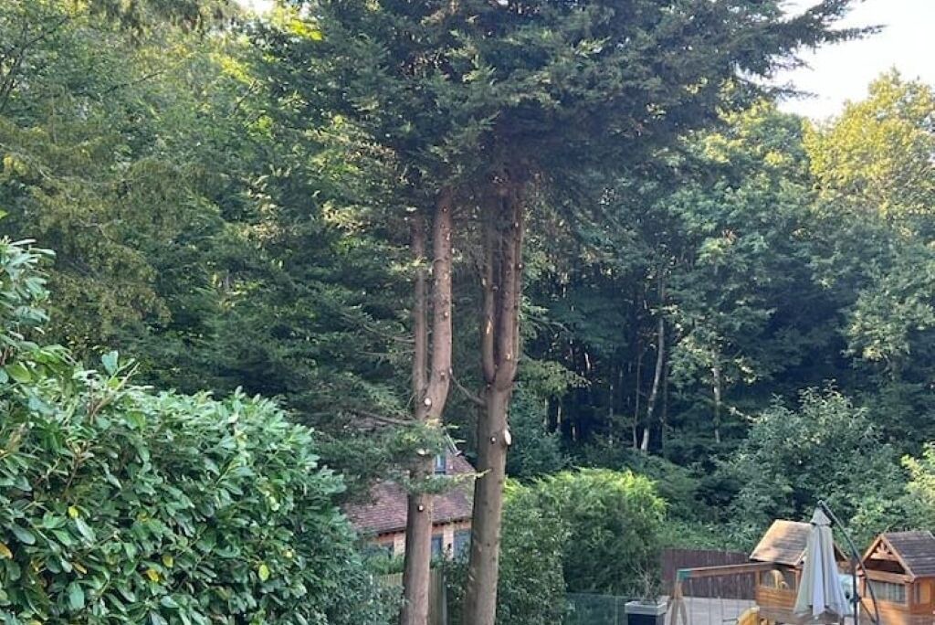 Photo of Others in West Malling