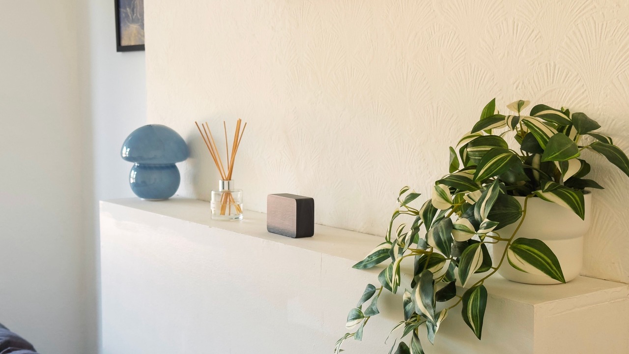 Photo of Others in Stonebridge