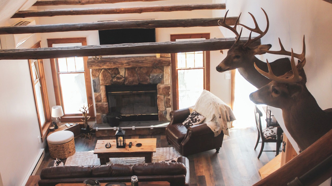 Photo of Livingroom in Tannersville