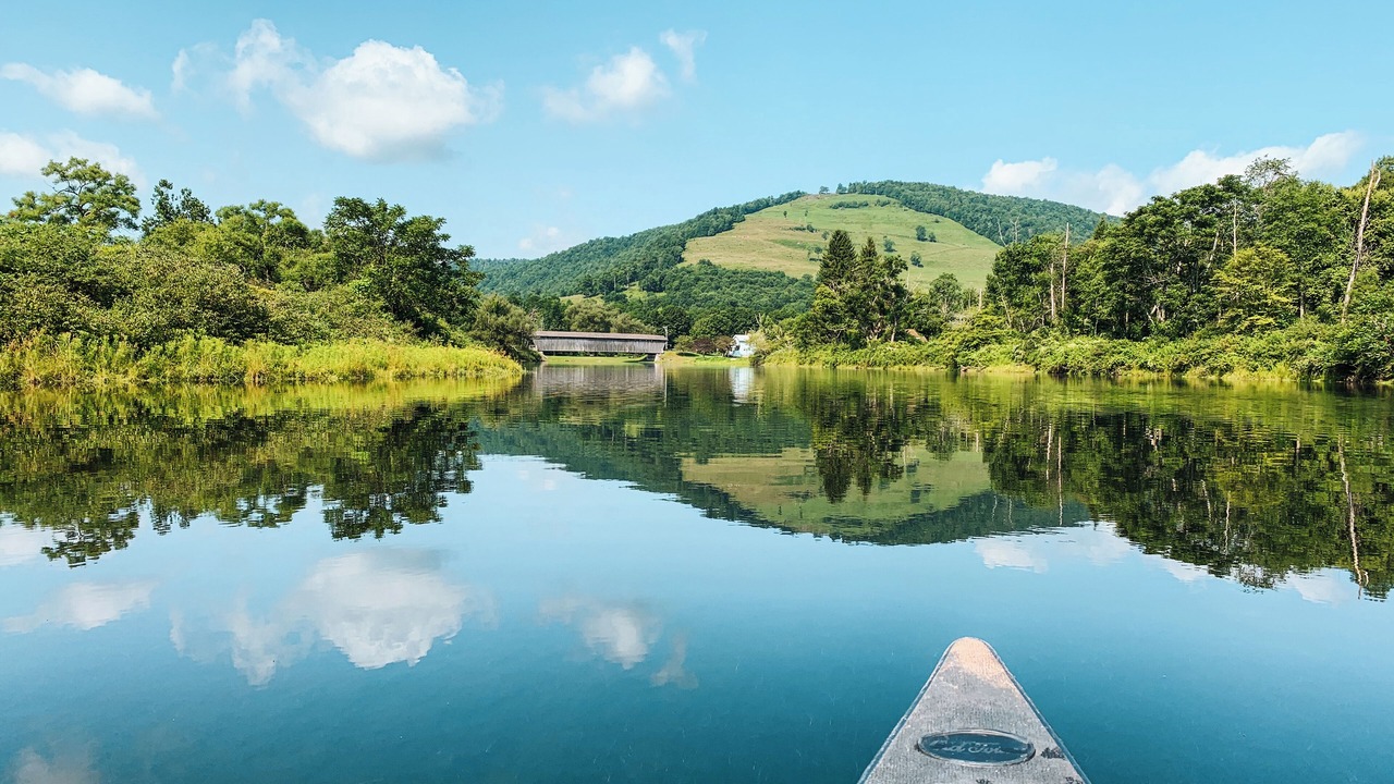 Photo of Others in New Kingston