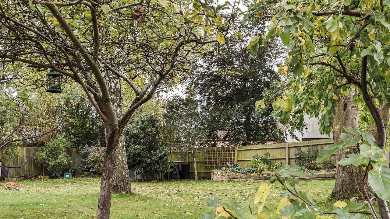 Photo of Outdoor in Biggleswade