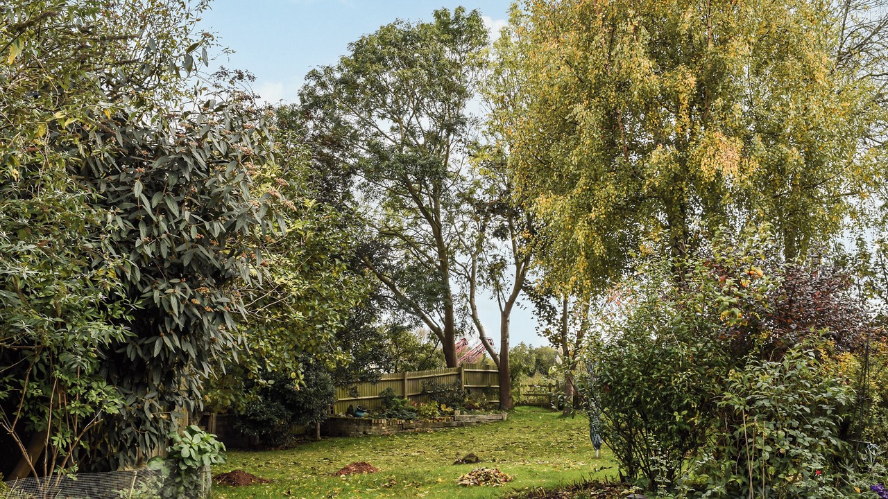 Photo of Outdoor in Biggleswade