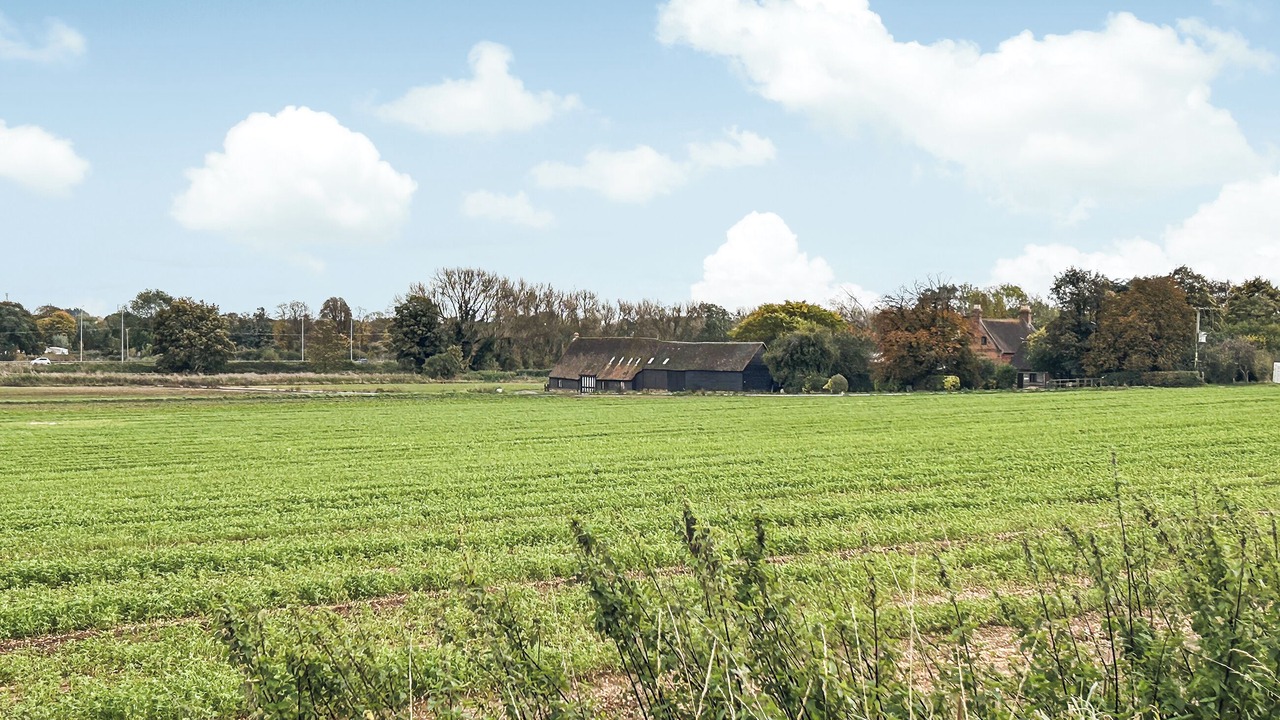 Photo of Outdoor in Biggleswade