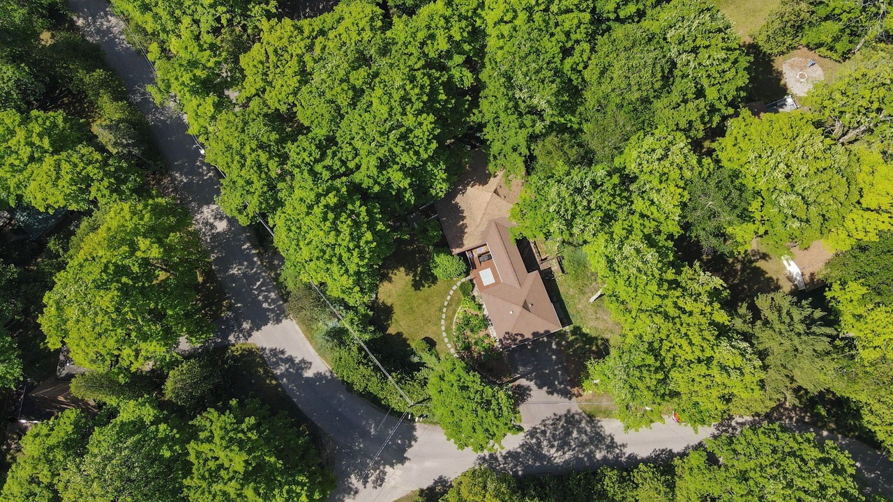 Photo of Outdoor in Charlevoix