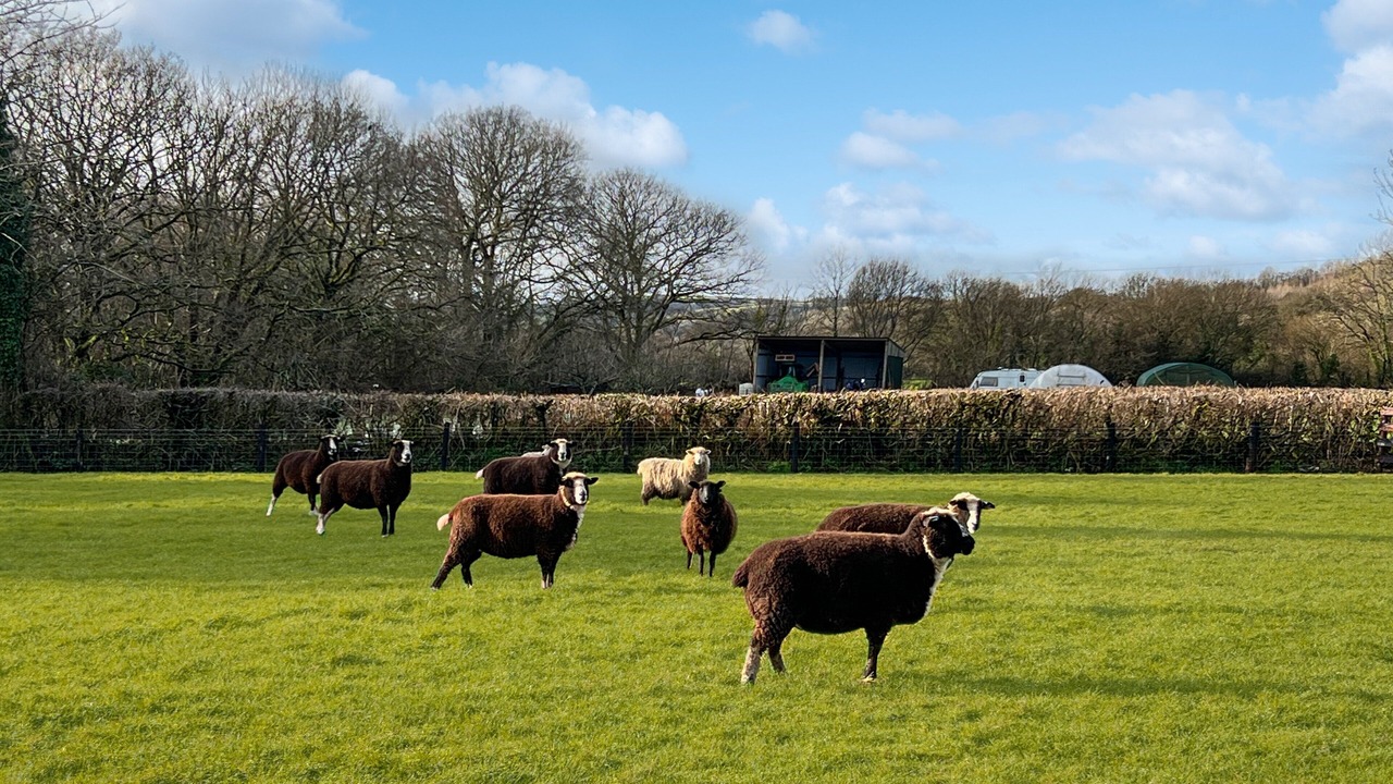 Photo of Others in Saint Blazey