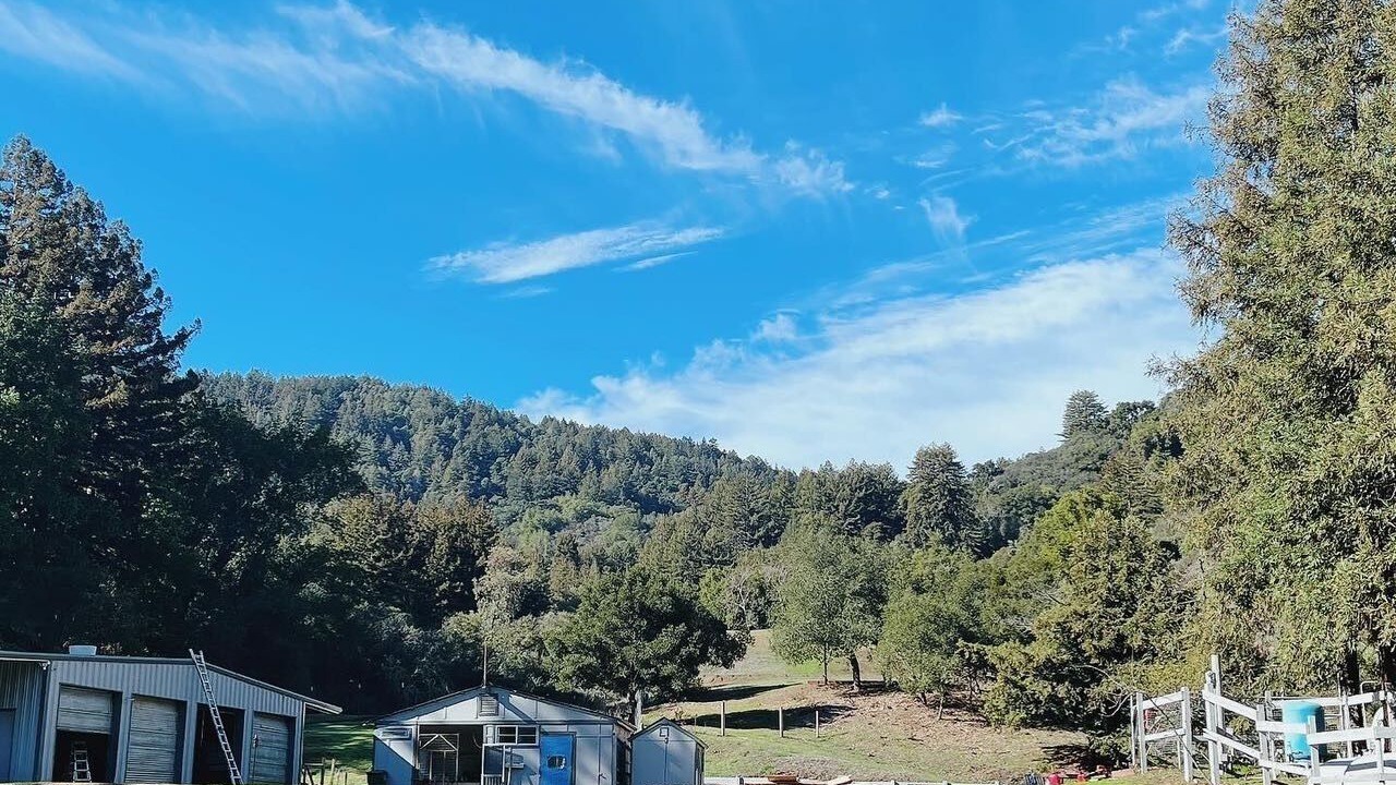 Photo of Others in La Selva Beach