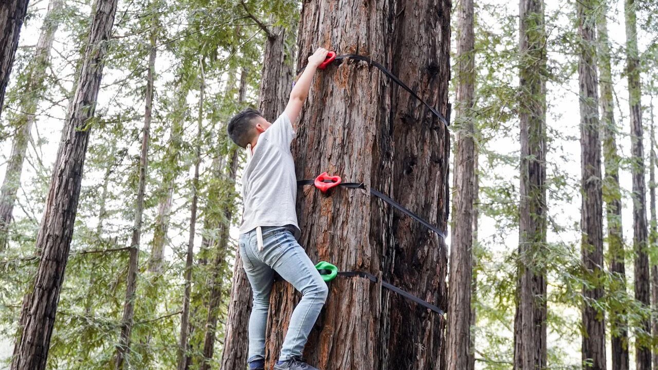 Photo of Others in La Selva Beach