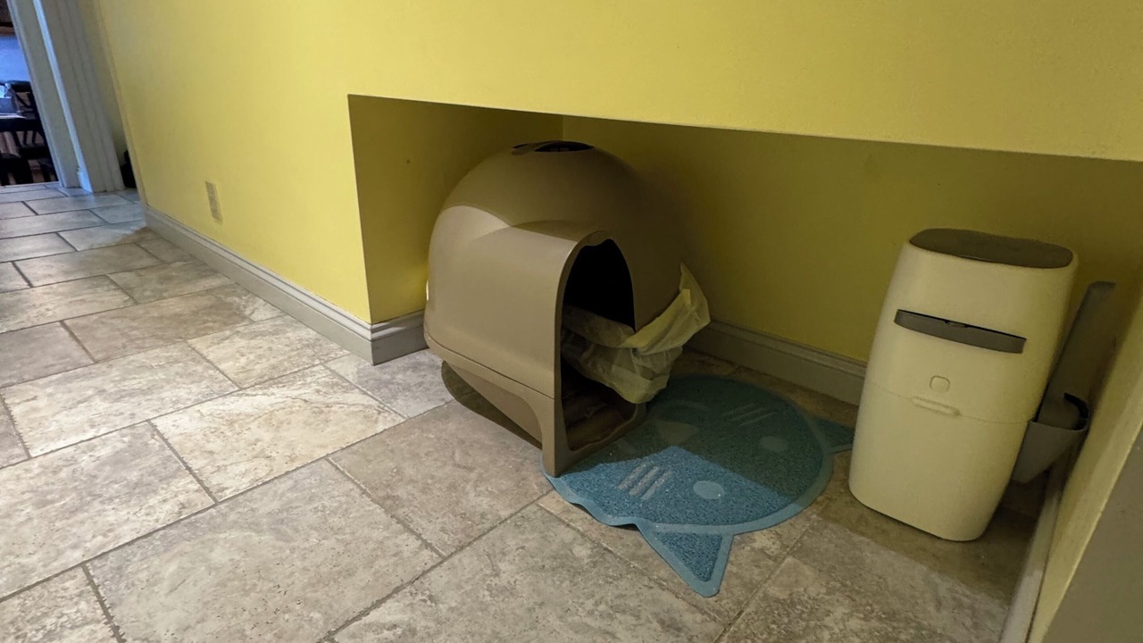 Photo of Others in Northampton