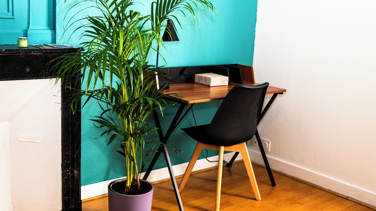 Photo of Others in Saint-Marc