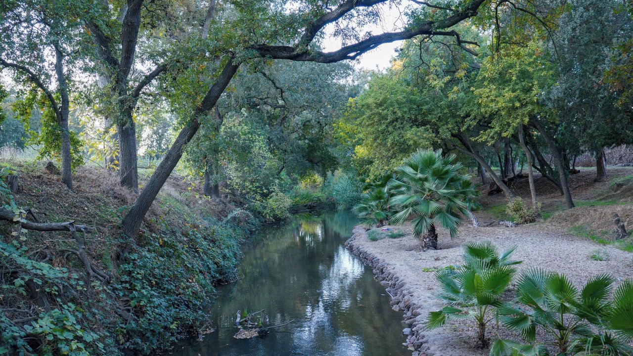 Photo of Others in Modesto