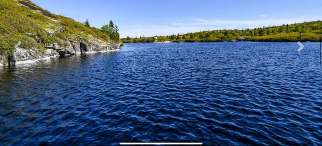 Photo of Others in Prospect Bay