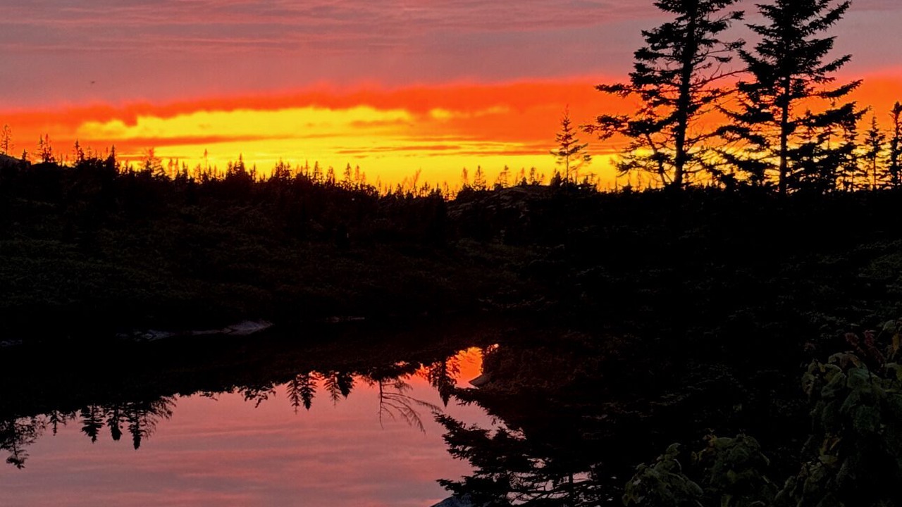 Photo of Others in Prospect Bay