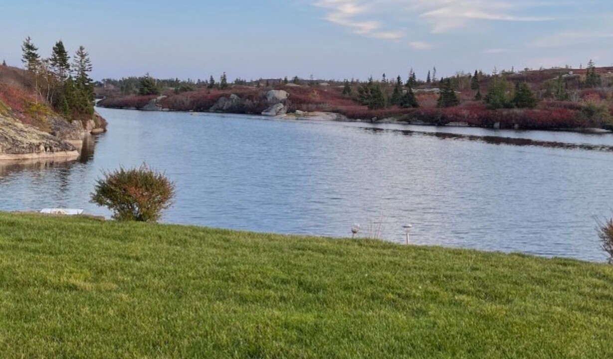 Photo of Others in Prospect Bay