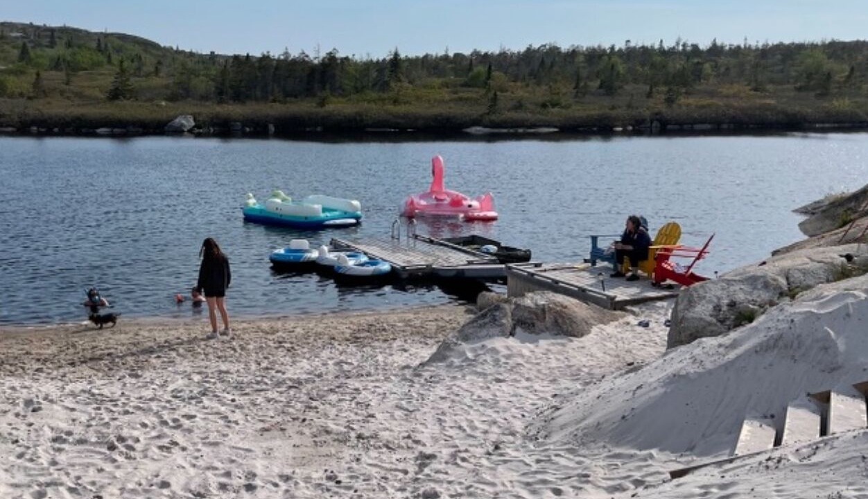 Photo of Others in Prospect Bay