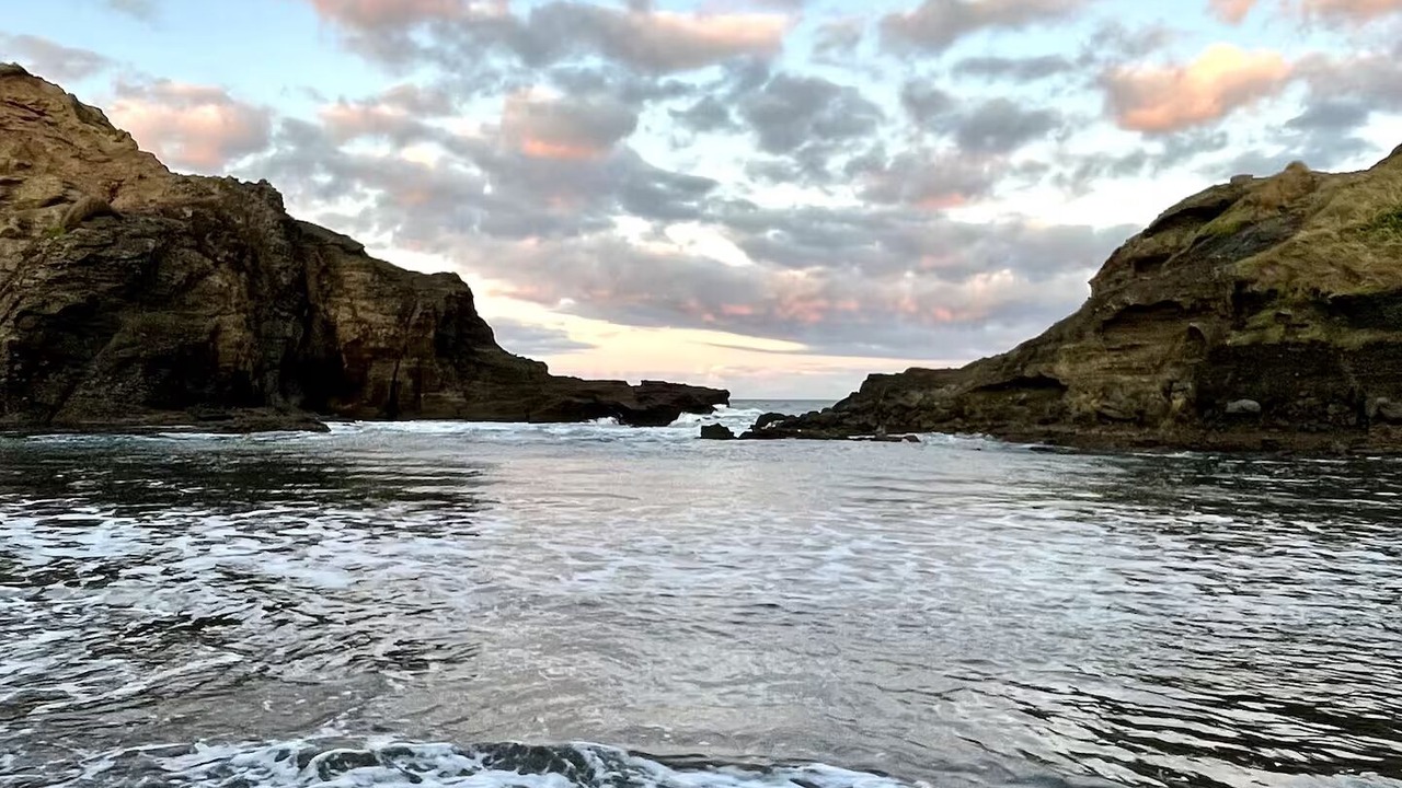 Photo of Others in Piha
