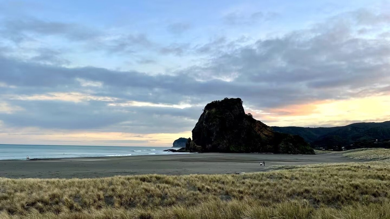 Photo of Others in Piha