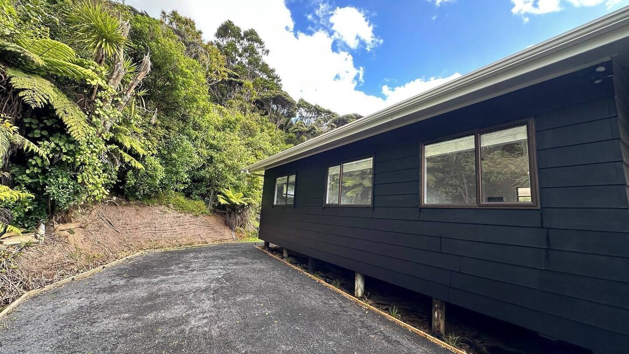 Photo of Others in Piha