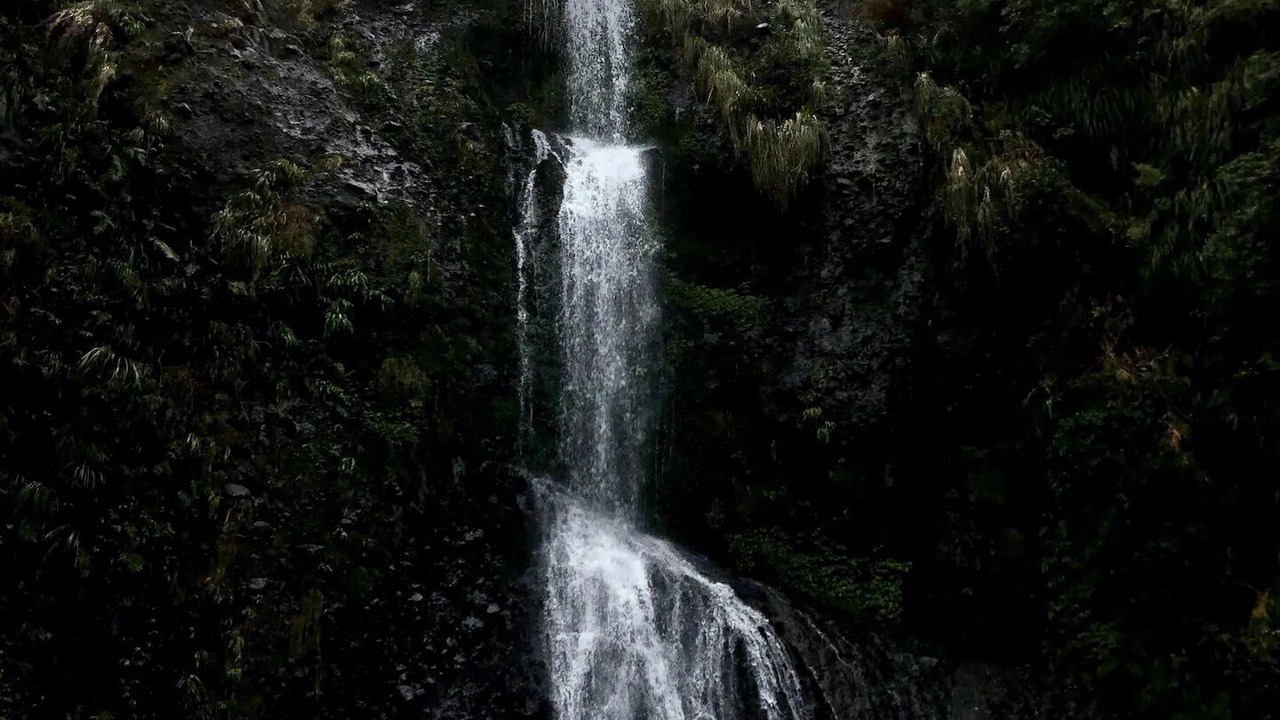 Photo of Others in Piha