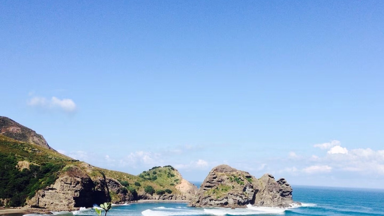 Photo of Others in Piha