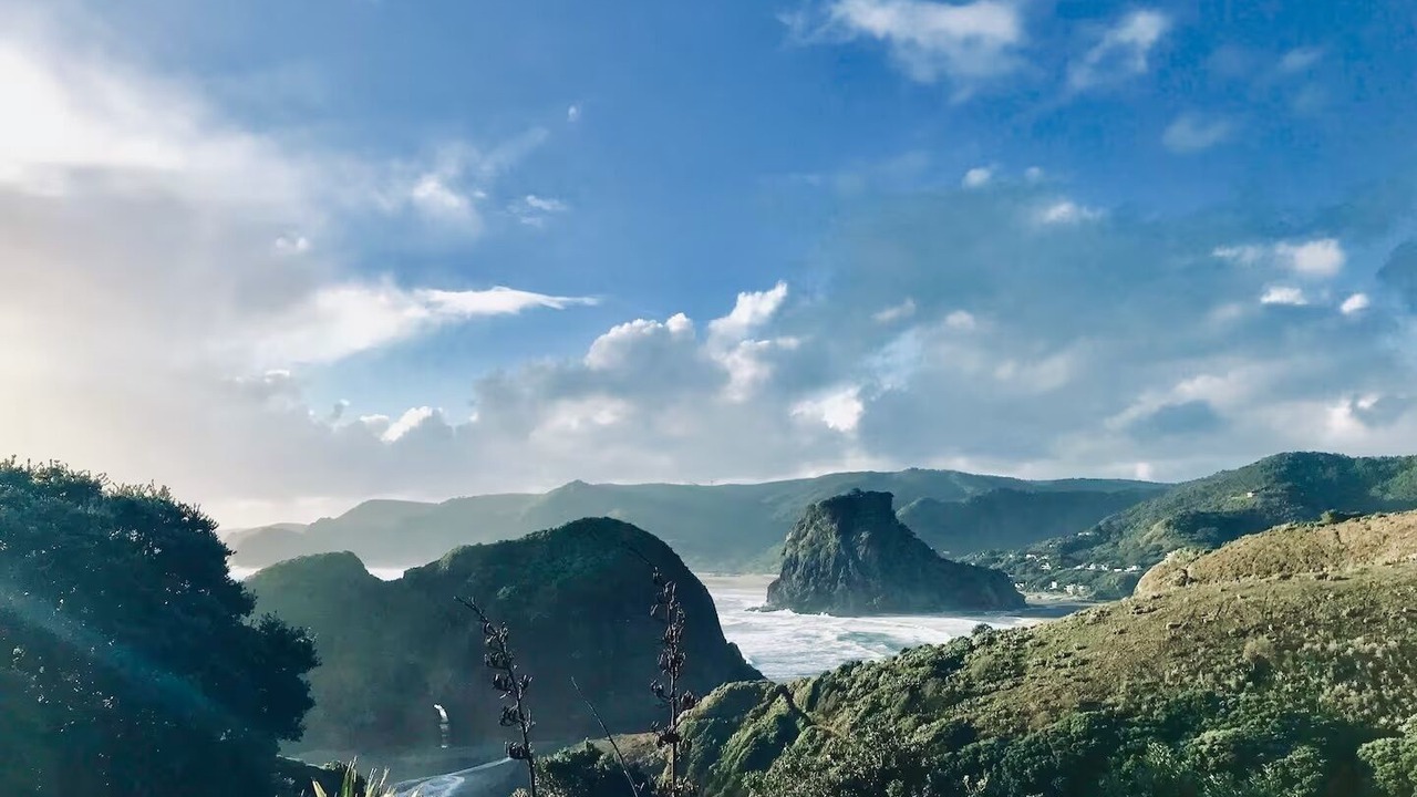 Photo of Others in Piha