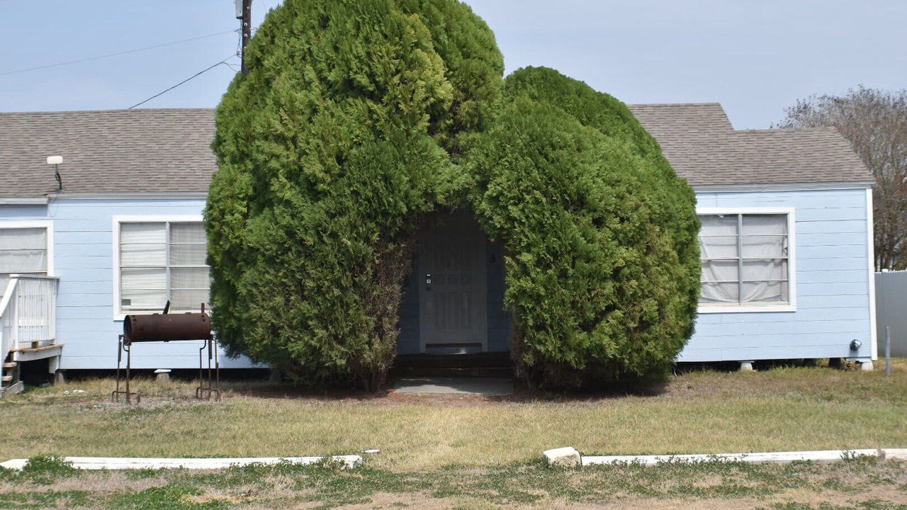 Photo of Outdoor in Ingleside