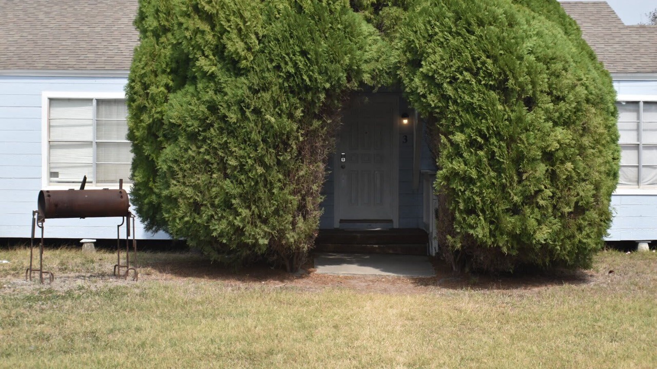 Photo of Outdoor in Ingleside