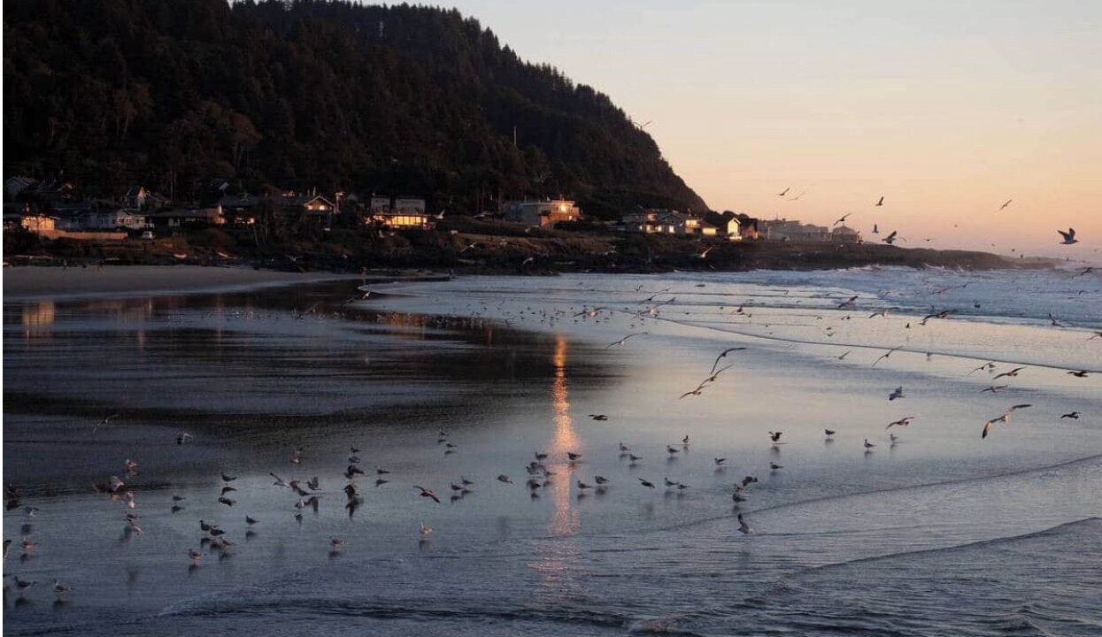 Photo of Others in Yachats