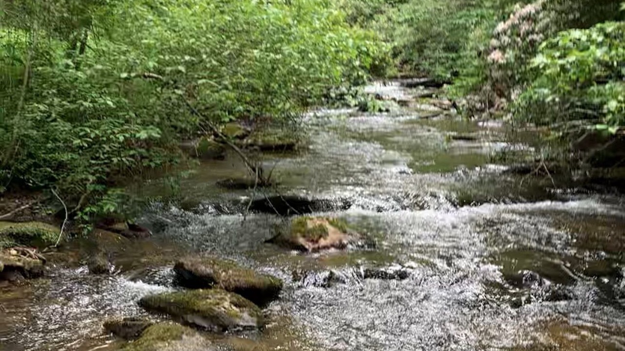 Photo of Others in Piper Gap