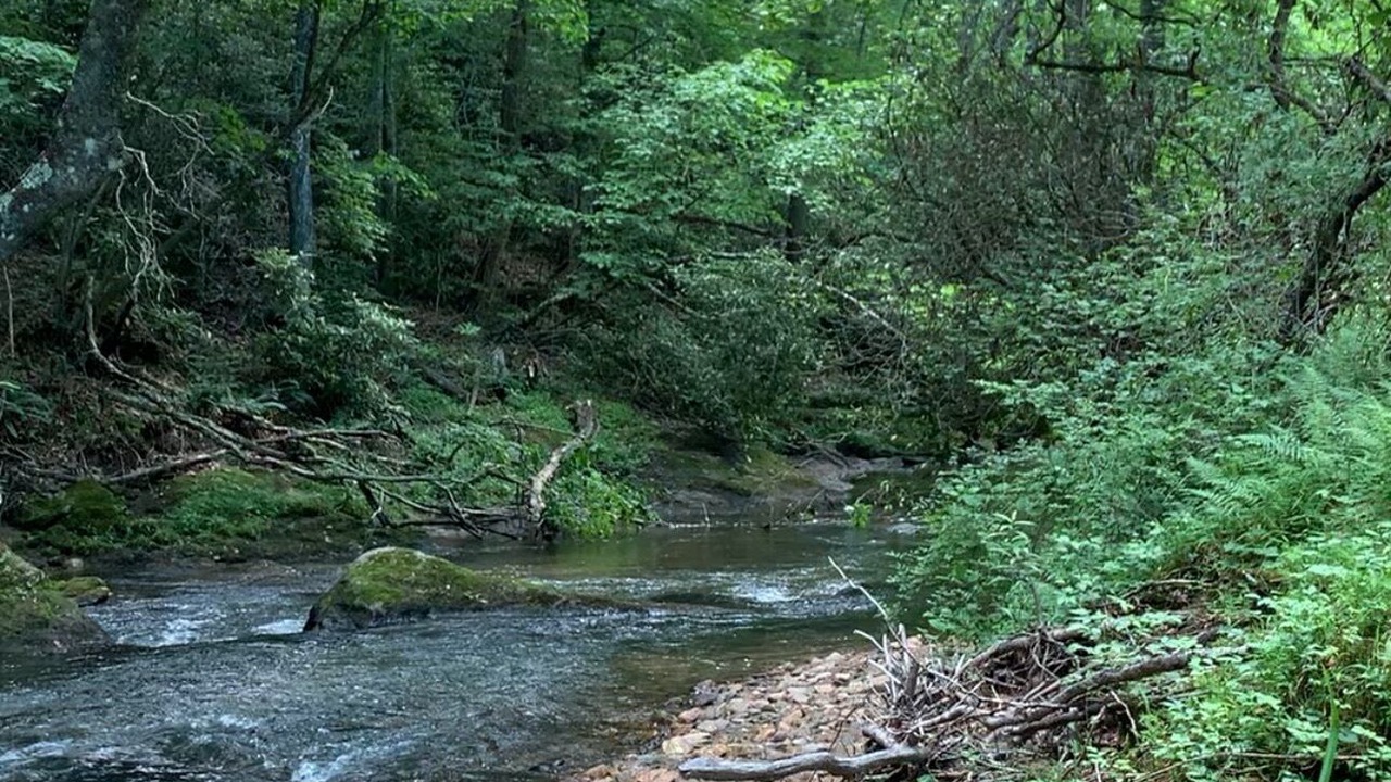 Photo of Others in Piper Gap