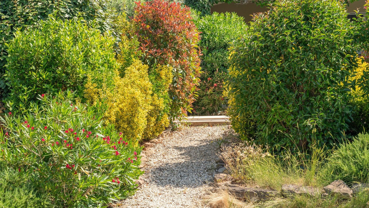 Photo of Outdoor in Escales