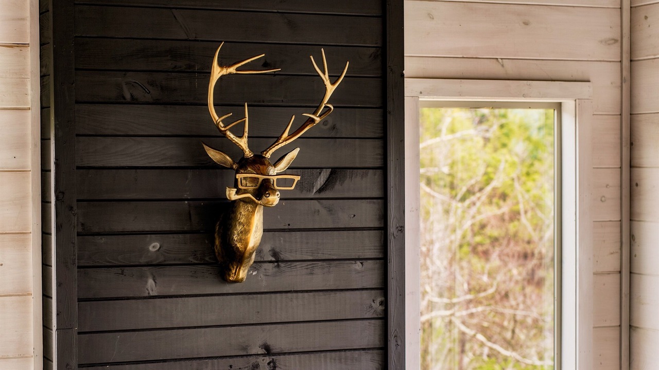 Photo of Others in Sevierville
