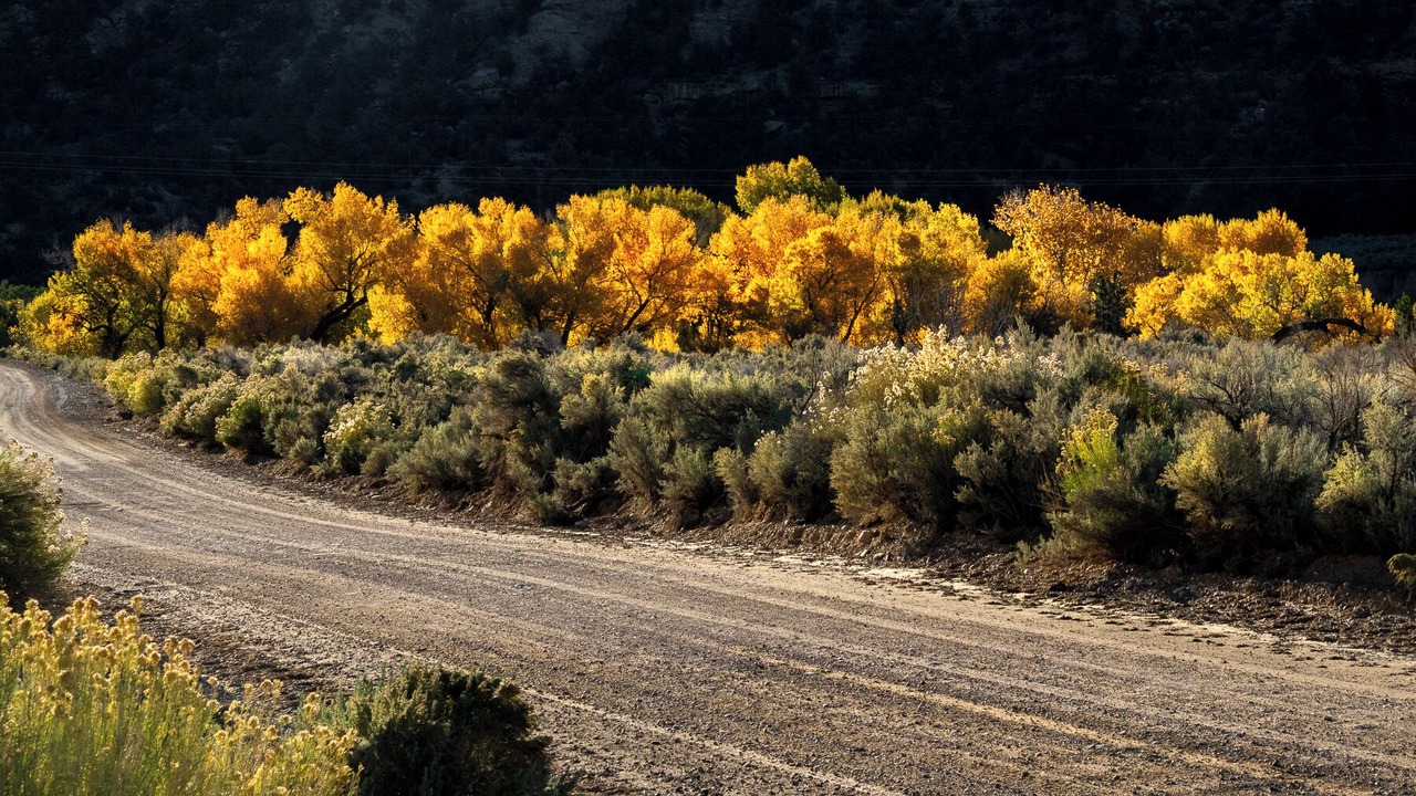 Photo of Others in Escalante