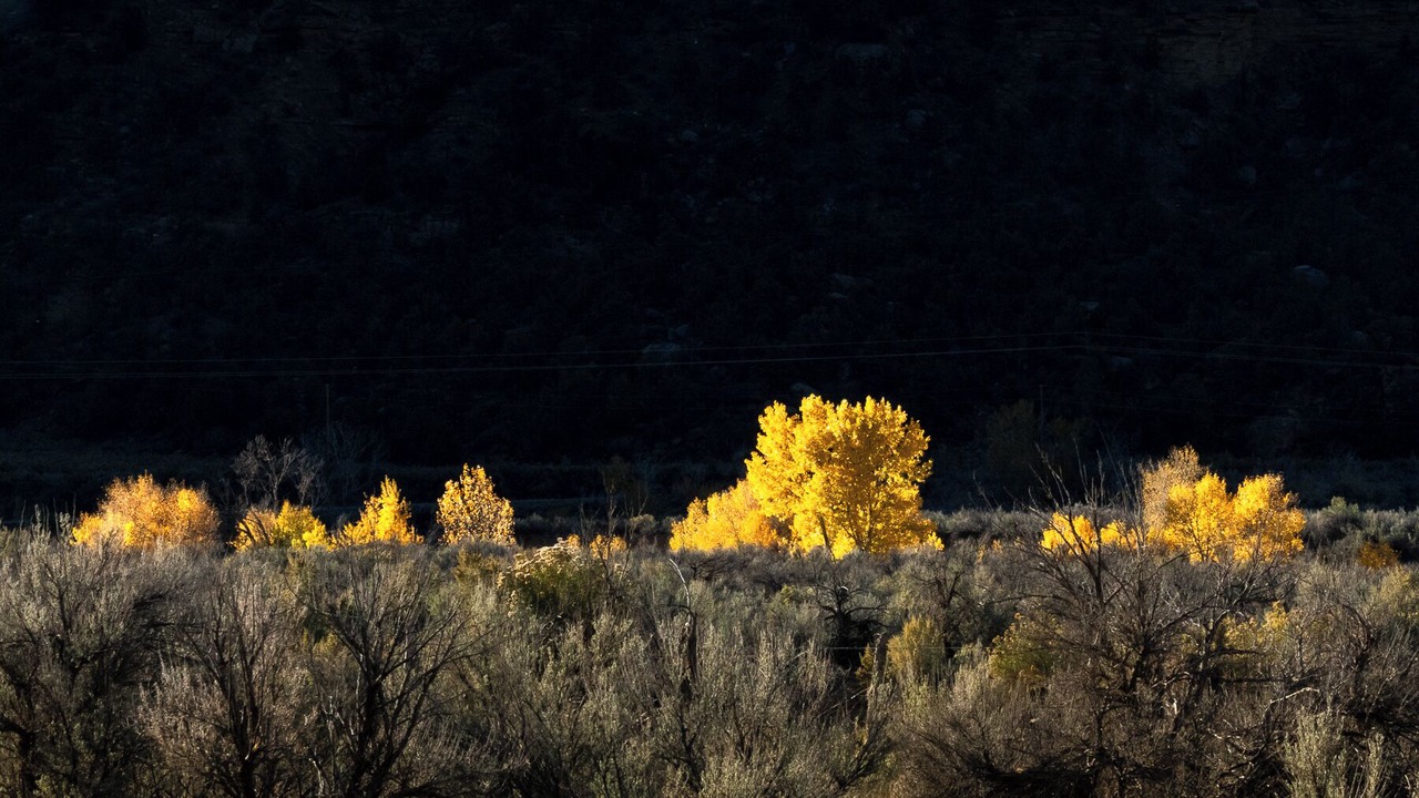 Photo of Others in Escalante