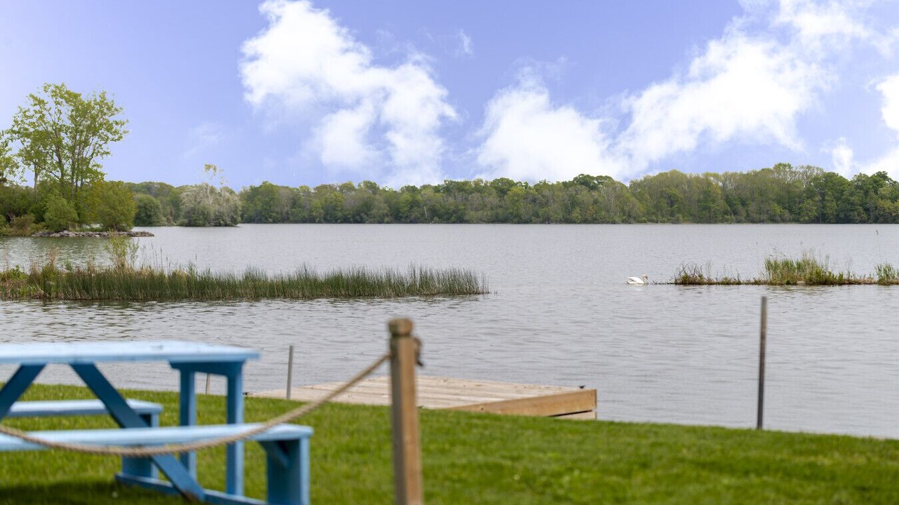 Photo of Others in Bloomfield