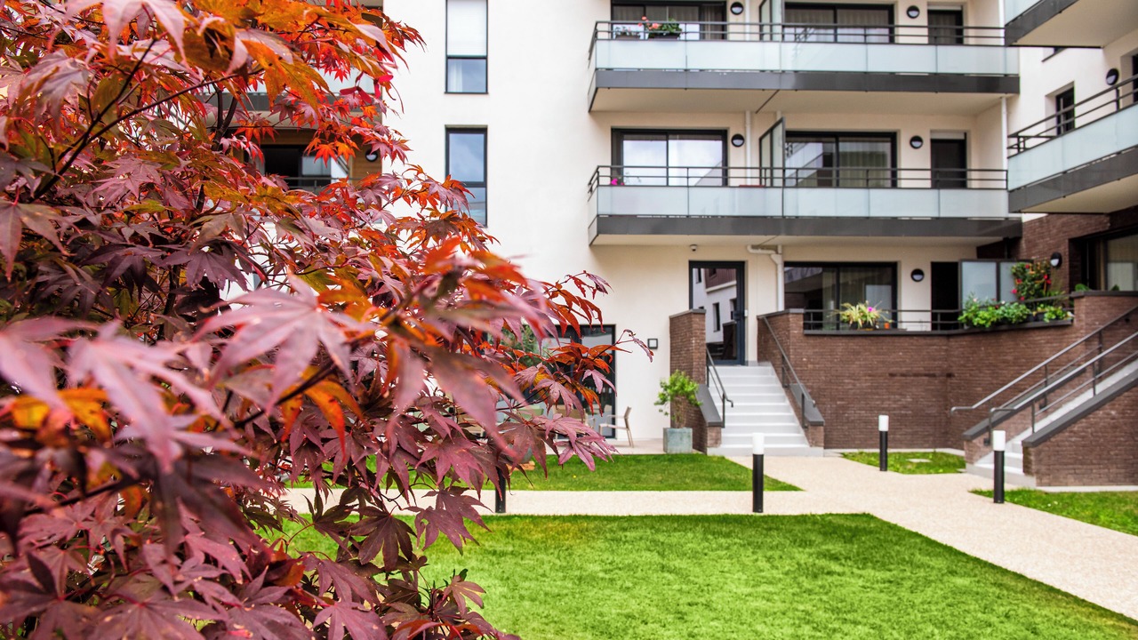 Photo of Outdoor in Quartier Saint-Clement - Jardin des Plantes