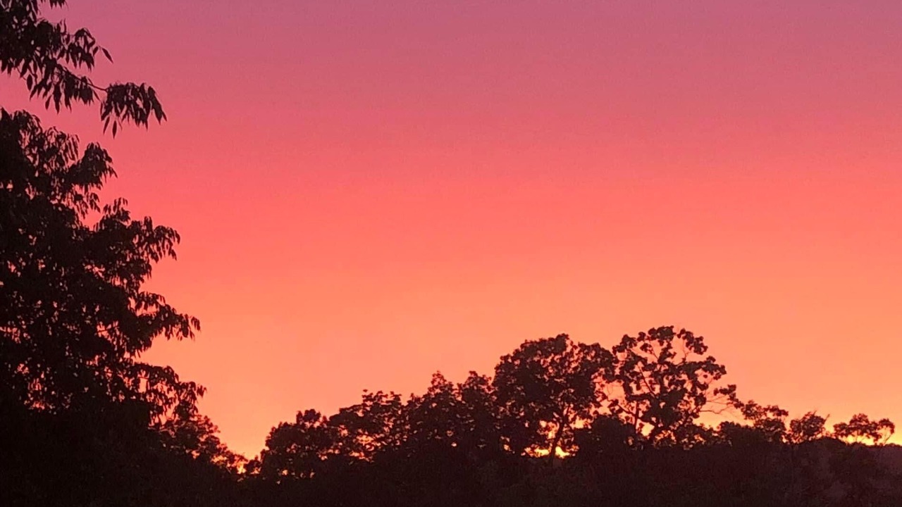 Photo of Outdoor in Hardy