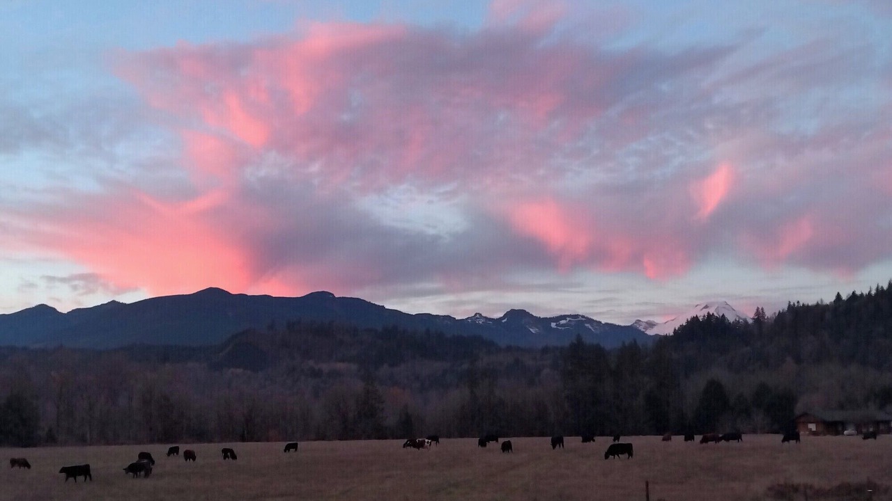 Photo of Others in Concrete